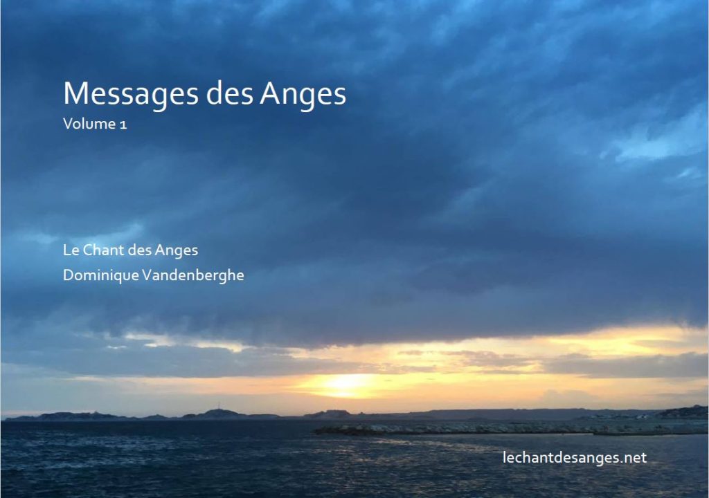 Livre Le Message des Anges Dominique Vandenberghe Medium Coach Guerrisseuse