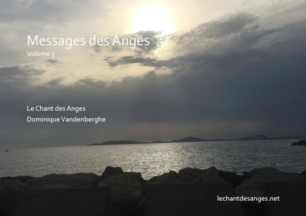 Livre Le Message des Anges Dominiqeu Vandenberghe Énergeticienne, Medieum Coach Guérisseuse