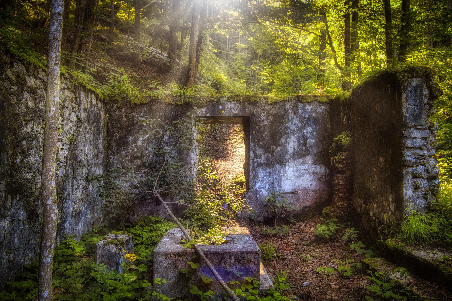 Une porte s’ouvre vers un vie magnifique